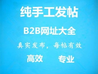 图 智能代发品牌宣传广告服务分类信息发布 天津网站建设推广